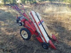 Máquina de apanhar feijão / Colhedora Yanmar YBR450
