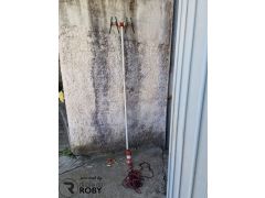 Varejador de Azeitona / Amêndoa (entre outras frutas)