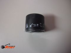 Filtro do Hidráulico